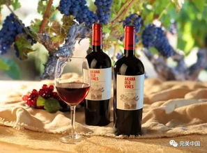 鐘愛葡萄酒的你,一定不會(huì)錯(cuò)過這些國際葡萄品種