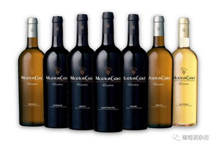 重磅 富邑集團(tuán)宣布獨(dú)家代理木桐嘉棣,兩大世界級(jí)酒業(yè)巨頭重磅攜手