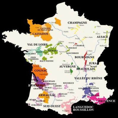 AOC:法國葡萄酒的成功密碼_經(jīng)濟臺_中國網(wǎng)絡(luò)電視臺